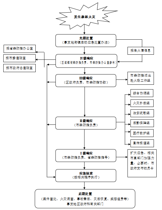 處置流程.png