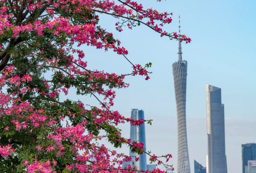 廣州市發(fā)布2024年第3號總林長令