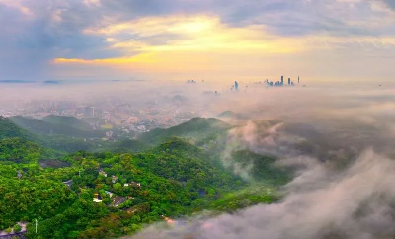 來了！廣州新增一個(gè)國家4A級旅游景區(qū)！