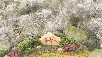 梅花
