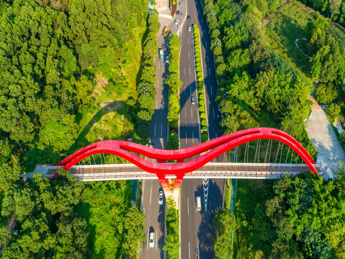 黃埔區云端綠道-騰翔橋