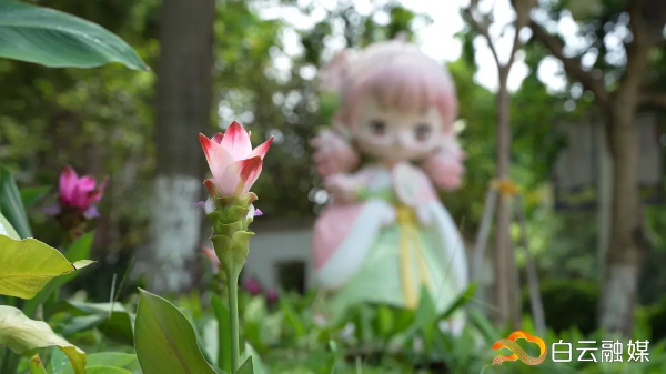 圖片