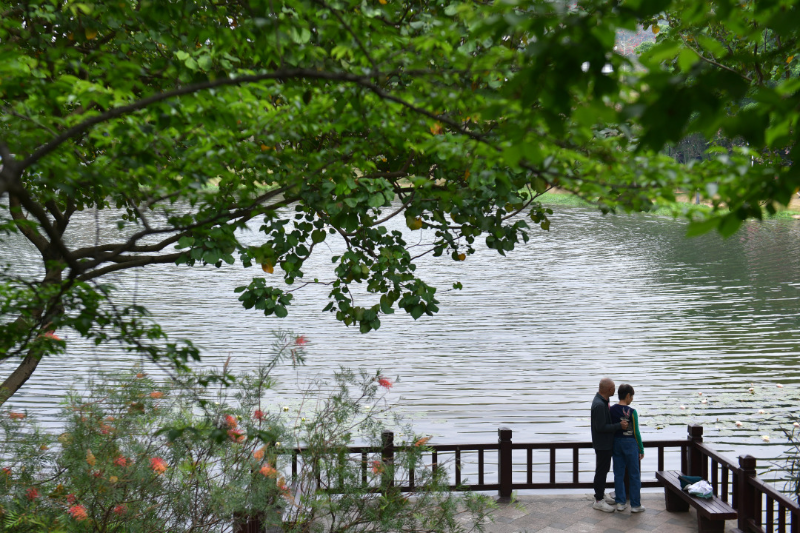 以綠為底，以花為媒！廣州公園景區80余項1400多場活動“慶國慶、迎全運”