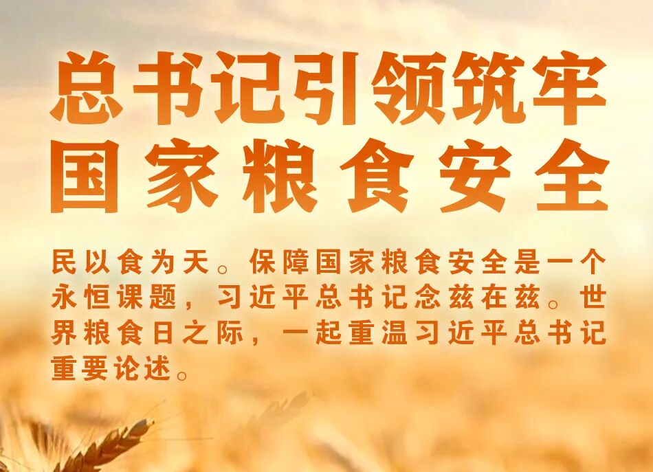 學(xué)習(xí)進(jìn)行時(shí)丨總書記引領(lǐng)筑牢國家糧食安全