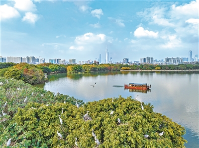 《廣州市生物多樣性保護戰略與行動計劃（2024—2030年）》印發