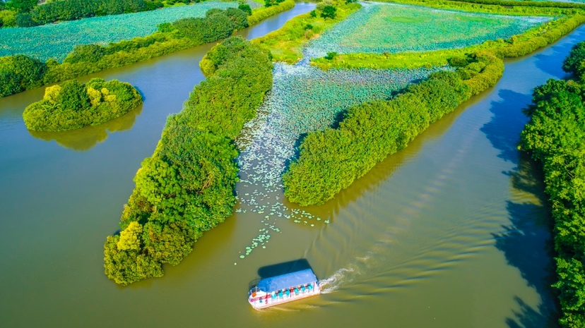 南沙濕地打造“大灣區(qū)中央濕地公園”