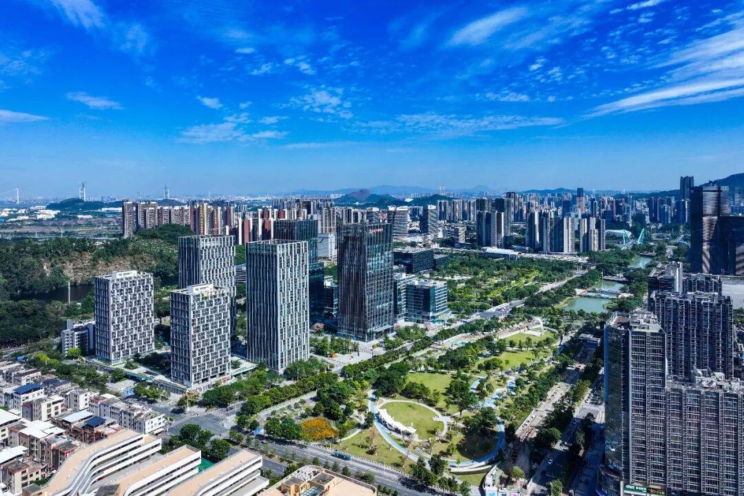 發布提質增效舉措  南沙力拼新年經濟