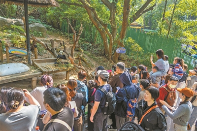 元旦假期廣州景區(qū)景點(diǎn)、商圈商場(chǎng)、餐廳食肆人氣暢旺游人如織
