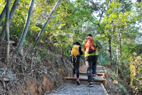 帽峰山上新2.7公里歸林康養步道