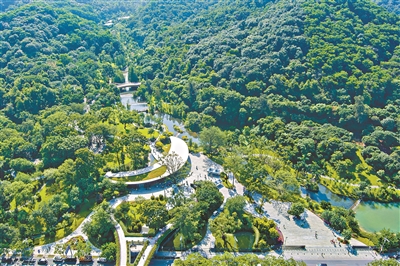 廣州深入推進(jìn)全民義務(wù)植樹高質(zhì)量發(fā)展 書寫國際化山水園林城市“出新出彩”綠色答卷