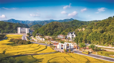 厚植生態底色 書寫綠色答卷