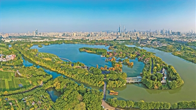 以濕地為基 筑生態(tài)新城：超大城市濕地保護的“廣州答卷”