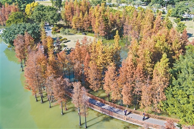 廣州兩處公園入選“美麗中國打卡點”