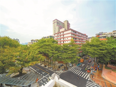 越秀區以“繡花”功夫推動新河浦歷史文化街區保護與活化利用