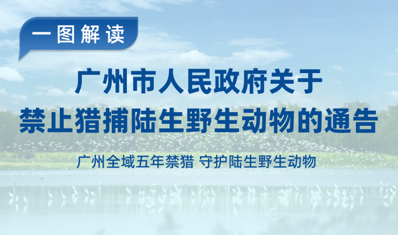 【?圖讀懂】《廣州市人民政府關(guān)于禁止獵捕陸生野生動物的通告》