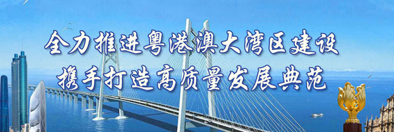 全力推進粵港澳大灣區建設 攜手打造高質量發展典范
